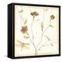 Dragonfly Branch-June Erica Vess-Framed Stretched Canvas