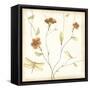 Dragonfly Branch-June Erica Vess-Framed Stretched Canvas