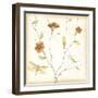 Dragonfly Branch-June Erica Vess-Framed Art Print