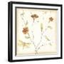 Dragonfly Branch-June Erica Vess-Framed Art Print