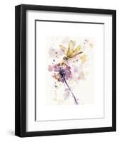 Dragonfly & Dandelion-Sillier than Sally-Framed Art Print