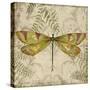 Dragonfly Daydreams-A-Jean Plout-Stretched Canvas