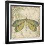 Dragonfly Daydreams-B-Jean Plout-Framed Giclee Print