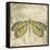 Dragonfly Daydreams-B-Jean Plout-Framed Stretched Canvas