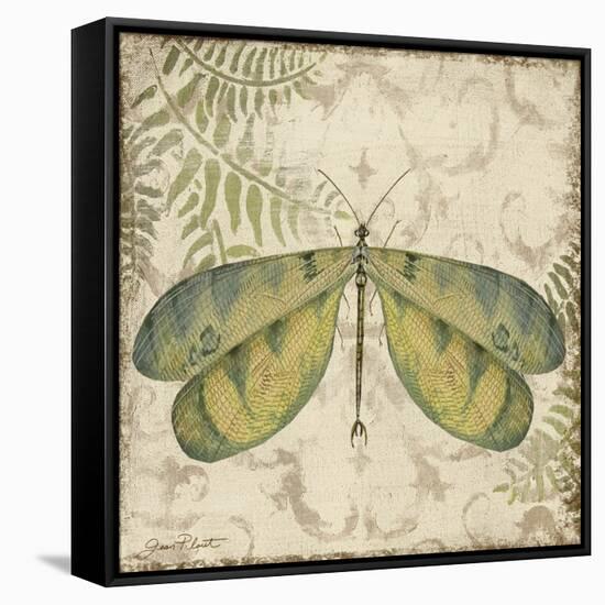 Dragonfly Daydreams-B-Jean Plout-Framed Stretched Canvas