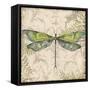 Dragonfly Daydreams-C-Jean Plout-Framed Stretched Canvas