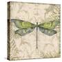 Dragonfly Daydreams-C-Jean Plout-Stretched Canvas