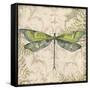 Dragonfly Daydreams-C-Jean Plout-Framed Stretched Canvas