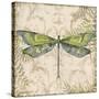 Dragonfly Daydreams-C-Jean Plout-Stretched Canvas