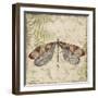 Dragonfly Daydreams-D-Jean Plout-Framed Giclee Print