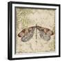 Dragonfly Daydreams-D-Jean Plout-Framed Giclee Print
