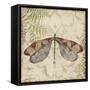 Dragonfly Daydreams-D-Jean Plout-Framed Stretched Canvas