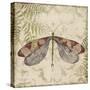 Dragonfly Daydreams-D-Jean Plout-Stretched Canvas