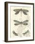 Dragonfly Delight I-null-Framed Art Print