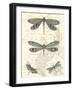 Dragonfly Delight I-null-Framed Art Print