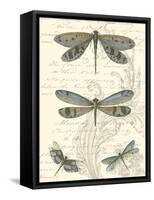 Dragonfly Delight I-null-Framed Stretched Canvas