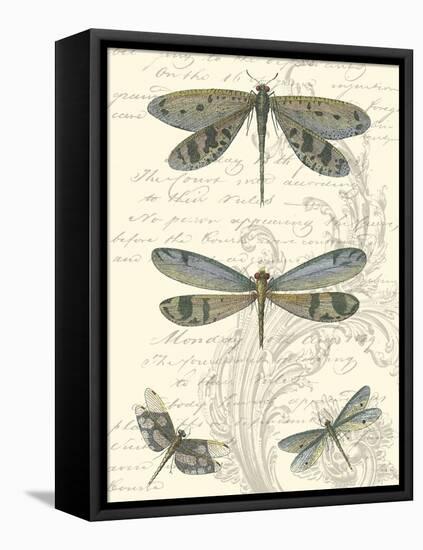 Dragonfly Delight I-null-Framed Stretched Canvas