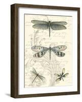 Dragonfly Delight II-null-Framed Art Print
