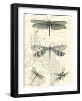 Dragonfly Delight II-null-Framed Art Print