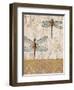 Dragonfly Evolution-Studio 5-Framed Art Print