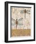 Dragonfly Evolution-Studio 5-Framed Art Print