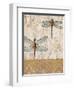 Dragonfly Evolution-Studio 5-Framed Art Print