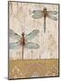 Dragonfly Evolution-Studio 5-Mounted Art Print