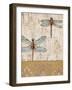 Dragonfly Evolution-Studio 5-Framed Art Print