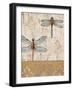 Dragonfly Evolution-Studio 5-Framed Art Print