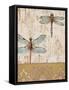 Dragonfly Evolution-Studio 5-Framed Stretched Canvas
