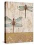 Dragonfly Evolution-Studio 5-Stretched Canvas