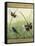 Dragonfly Friends-boarder-Jean Plout-Framed Stretched Canvas