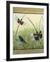 Dragonfly Friends-boarder-Jean Plout-Framed Giclee Print