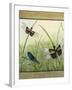 Dragonfly Friends-boarder-Jean Plout-Framed Giclee Print