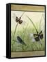 Dragonfly Friends-boarder-Jean Plout-Framed Stretched Canvas