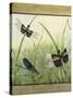 Dragonfly Friends-boarder-Jean Plout-Stretched Canvas