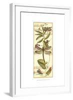 Dragonfly Gathering II-Vision Studio-Framed Art Print