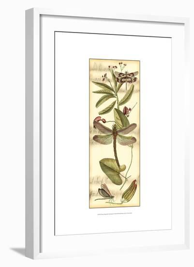 Dragonfly Gathering II-Vision Studio-Framed Art Print