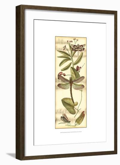 Dragonfly Gathering II-Vision Studio-Framed Art Print