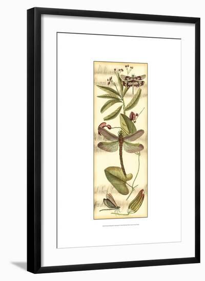 Dragonfly Gathering II-Vision Studio-Framed Art Print