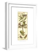 Dragonfly Gathering II-Vision Studio-Framed Art Print