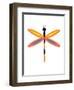 Dragonfly Goes Mod Four-Jan Weiss-Framed Art Print