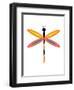 Dragonfly Goes Mod Four-Jan Weiss-Framed Art Print