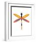 Dragonfly Goes Mod Four-Jan Weiss-Framed Art Print