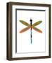 Dragonfly Goes Mod Three-Jan Weiss-Framed Art Print
