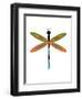 Dragonfly Goes Mod Three-Jan Weiss-Framed Art Print