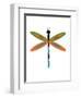 Dragonfly Goes Mod Three-Jan Weiss-Framed Art Print