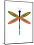 Dragonfly Goes Mod Three-Jan Weiss-Mounted Art Print