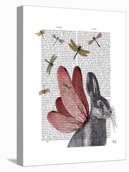 Dragonfly Hare-Fab Funky-Stretched Canvas