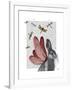 Dragonfly Hare-Fab Funky-Framed Art Print